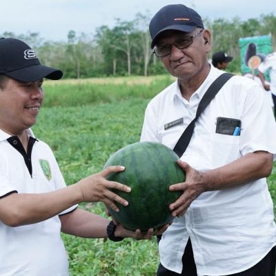 Launching Kampung Semangka Desa Sagu, Kecamatan Galing