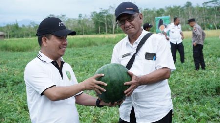 Launching Kampung Semangka Desa Sagu, Kecamatan Galing