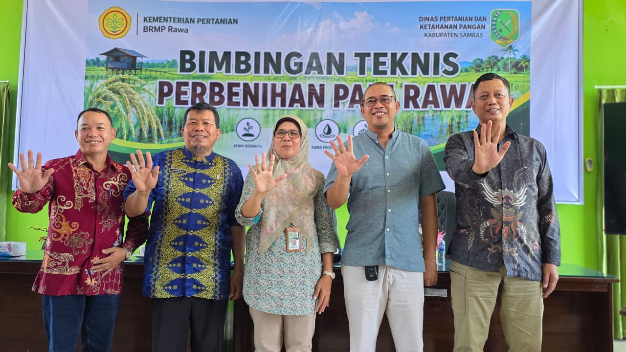 Bimbingan Teknis Perbenihan Padi Rawa